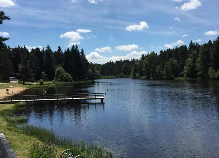 Gite Des 3 Etangs Malvières Exterior foto
